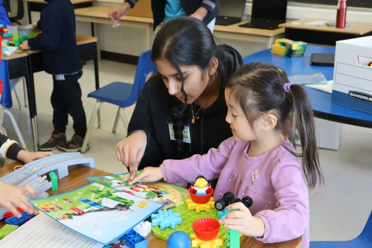 Mentorship volunteering
